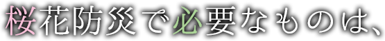 桜花防災で必要なものは、